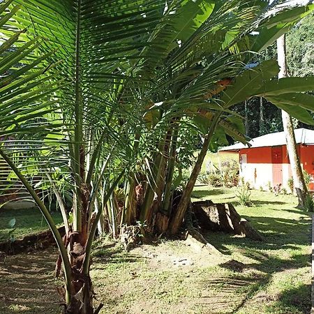 Finca Valeria Treehouses Glamping Cocles Exterior foto
