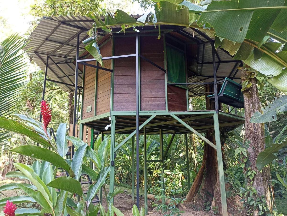 Finca Valeria Treehouses Glamping Cocles Exterior foto
