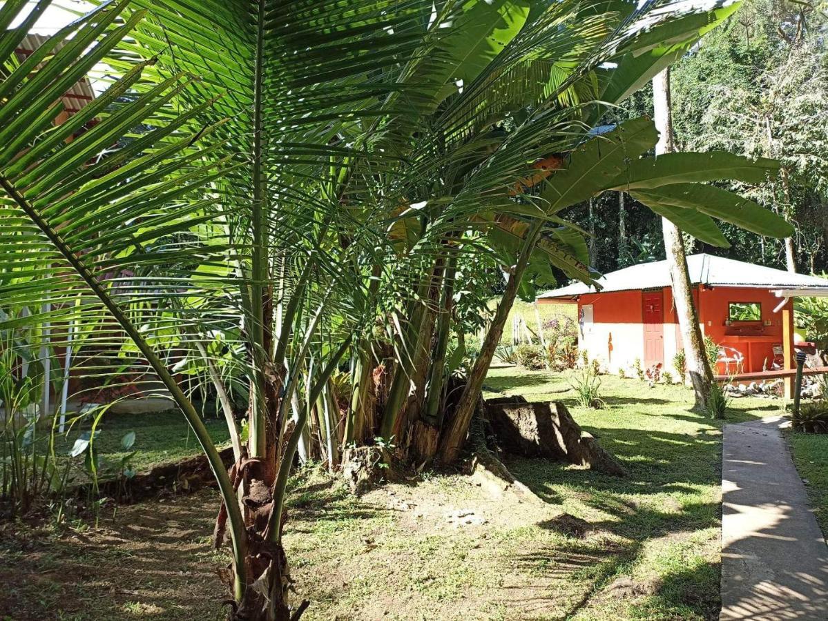 Finca Valeria Treehouses Glamping Cocles Exterior foto