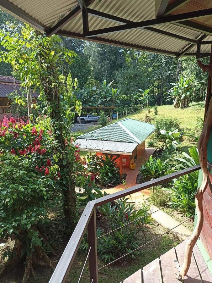 Finca Valeria Treehouses Glamping Cocles Exterior foto
