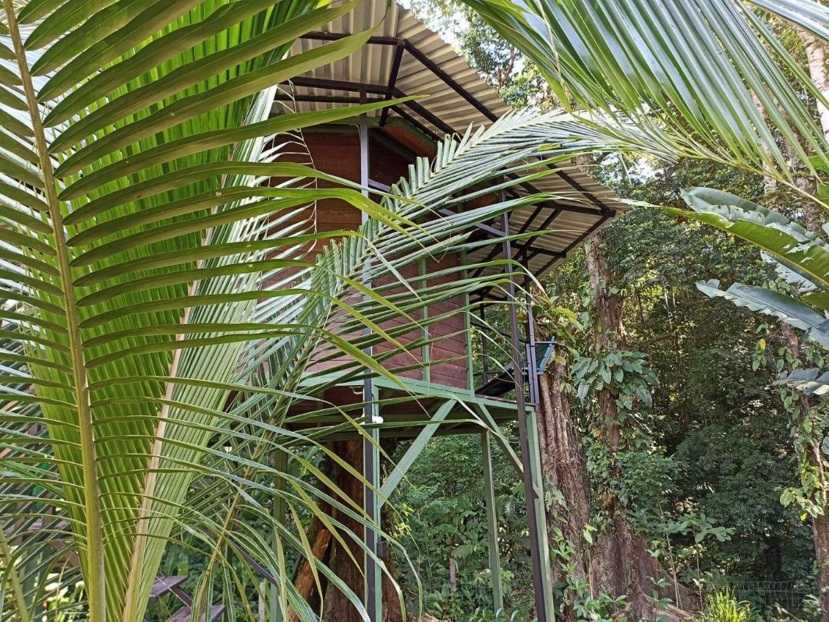 Finca Valeria Treehouses Glamping Cocles Exterior foto