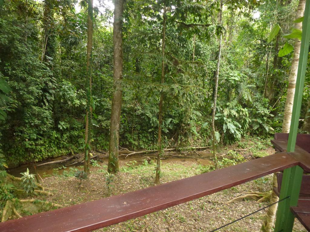 Finca Valeria Treehouses Glamping Cocles Exterior foto